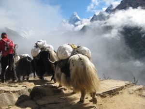 Trekking al Campo Base dell’Everest